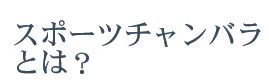 スポーツチャンバラとは？